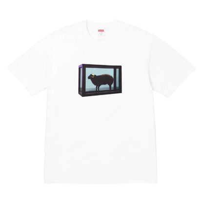 Supreme x Damien Hirst Tee (WHITE)