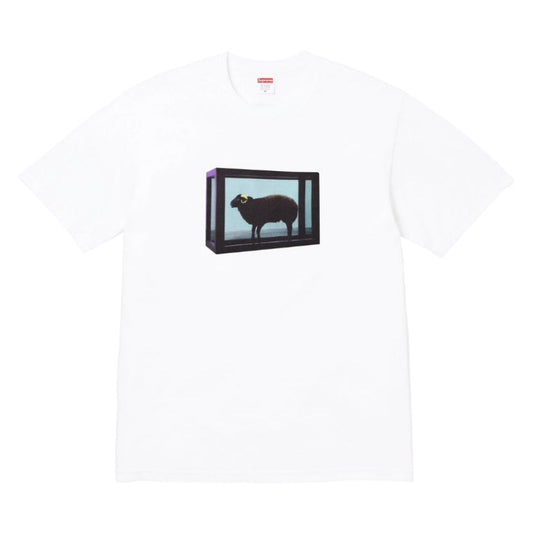 Supreme x Damien Hirst Tee (WHITE)